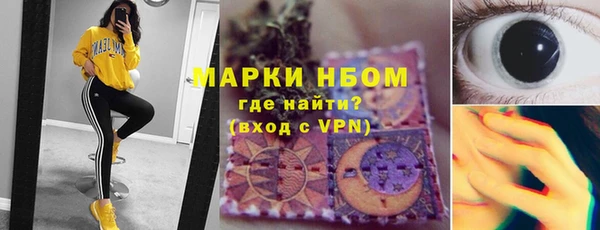 прущие грибы Медногорск