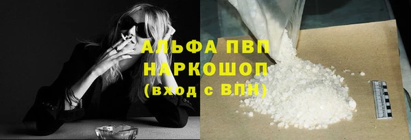 прущие грибы Медногорск