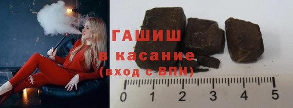 прущие грибы Медногорск