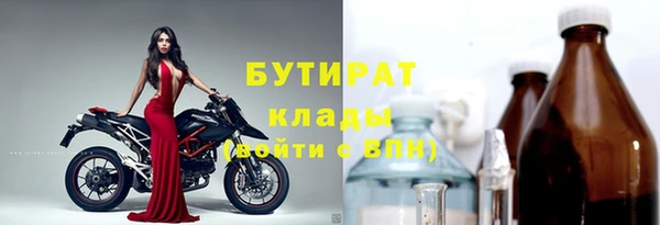 прущие грибы Медногорск