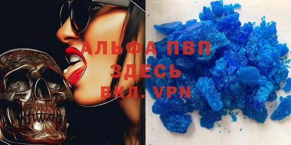 прущие грибы Медногорск