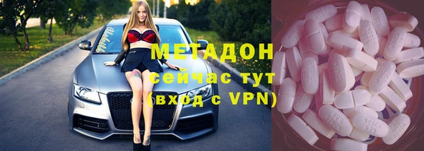 прущие грибы Медногорск