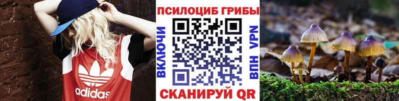 Псилоцибиновые грибы Psilocybine cubensis  цена наркотик  Сухиничи 